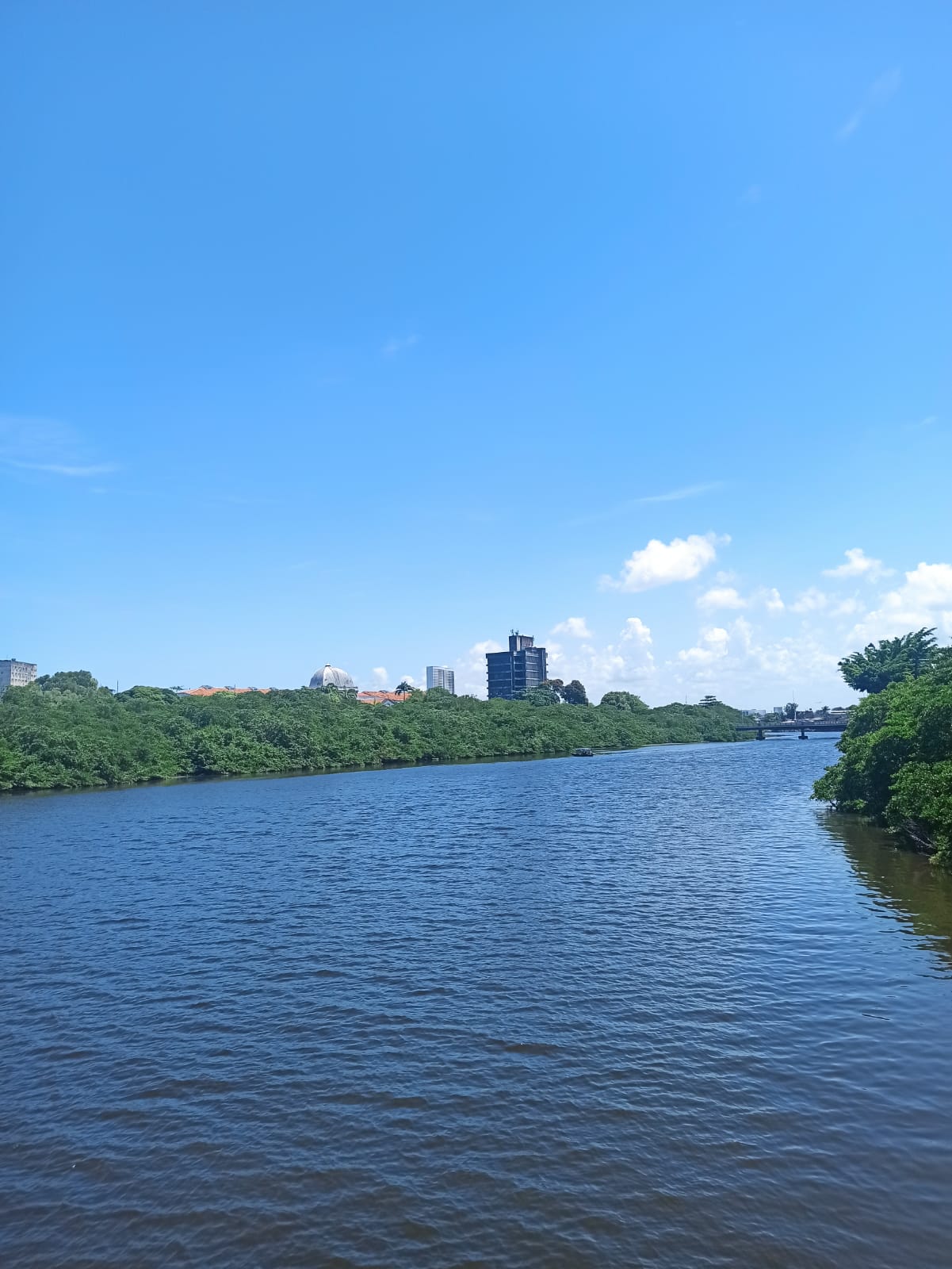 Vista do rio Capibaribe cercado por manguezais, com o skyline do Recife ao fundo sob céu azul